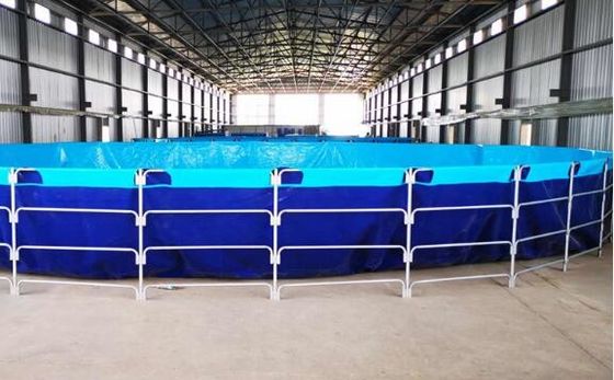 50000L लचीला तह 0.9 मिमी पीवीसी Tarpaulin मछली टैंक बाहरी मछली तालाब Diy मछली तालाब