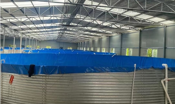 जस्ती शीट के एक्वेरियम टारपॉइल मछली पालन टैंक 20M D 1.20M H