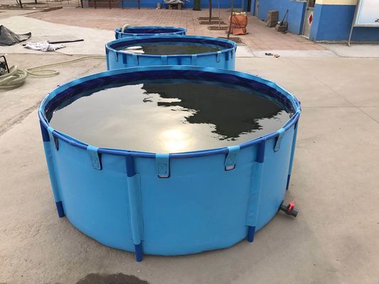 3000L 1.2 मिमी टारपौलीन मछली टैंक फोल्डेबल और धातु फ्रेम मछली तालाब प्लास्टिक टैंक के साथ तह करने योग्य