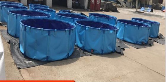 अग्निरोधी 4000L लटकन मछली टैंक के साथ नीली मछली तालाब लाइनर पर्यावरण पीवीसी तह मछली टैंक