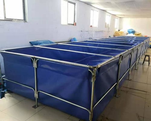 10000 लीटर टारपौलीन पानी टैंक स्व-स्टैंड फोल्डेबल प्लास्टिक मछली तालाब टारपौलीन मछली पालन