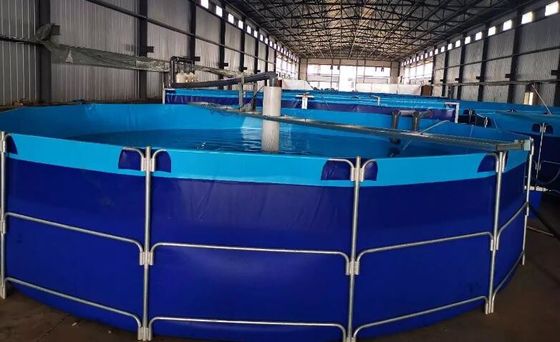आउटडोर गोल TPU 50000L 100000L मछली पालन टैंक धातु फ्रेम के साथ मछली तालाब प्लास्टिक टैंक
