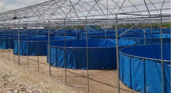 5000L फोल्डेबल 0.9 मिमी पीवीसी लटकन मछली टैंक के लिए मछली फार्म मछली तालाब प्लास्टिक टैंक डाई मछली तालाब