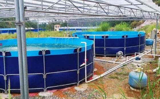 50000L लचीला तह 0.9 मिमी पीवीसी Tarpaulin मछली टैंक बाहरी मछली तालाब Diy मछली तालाब