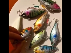 प्लास्टिक ल्यूर समुद्री मछली पकड़ने लेजर बायोनिक मछली पकड़ने का चारा