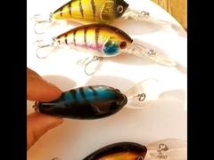 प्लास्टिक का लोभ चौड़ी जीभ वाली समफ़िश समुद्री मछली पकड़ने का चारा