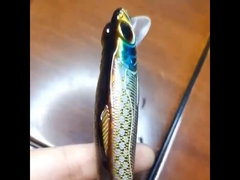 प्लास्टिक का आमिष समुद्र में मछली पकड़ने के लिए