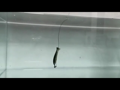 पीवीसी लोच नरम आमिष सिलिकॉन नकली नरम आमिष मछली पकड़ने का आमिष