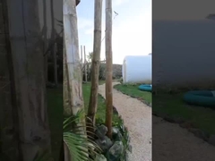 होटल कक्ष आउटडोर घर inflatable बुलबुला तम्बू